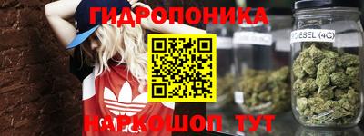a pvp Будённовск
