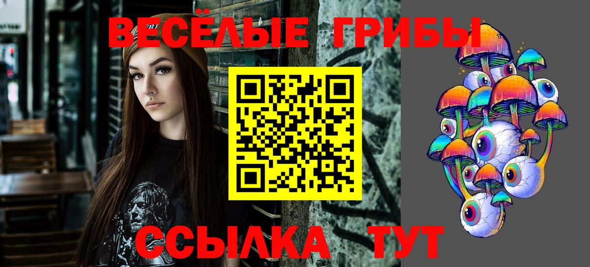 Саратов  Псилоцибиновые грибы ЛСД  Вход с VPN 