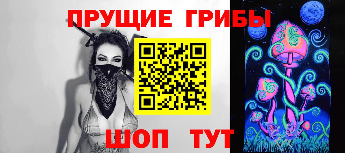 Псилоцибиновые грибы Psilocybine cubensis Саратов